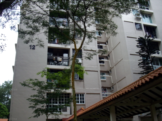 Blk 12 Dover Close East (Queenstown), HDB 5 Rooms #365752